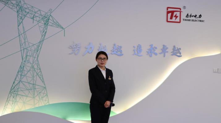 Tai'an City and Power Equipment Co., Ltd.