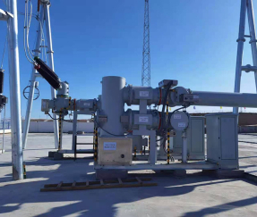 مشروع Dingbian Red Willow