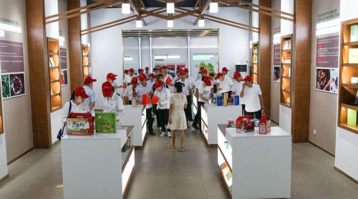 Tai'an City and Power Equipment Co., Ltd.